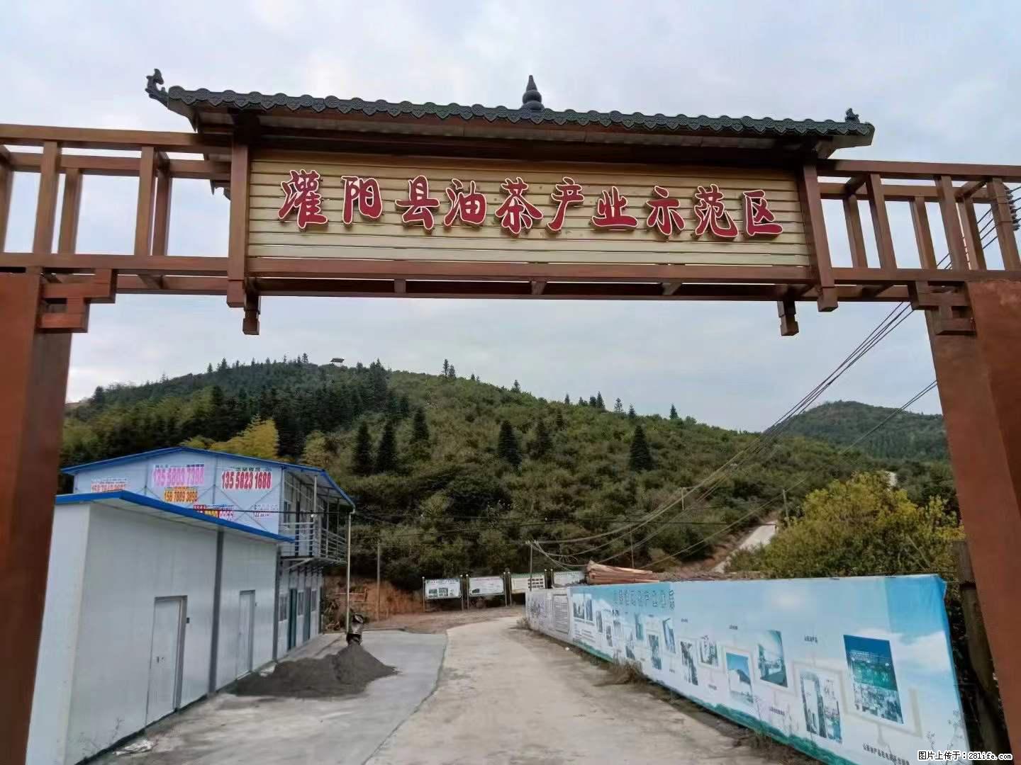 【灌阳县油茶产业示范区】一个有着充实的精神生活的人,对待身外之物自会有一种淡泊的态度 - 土特产 - 饮食特产 - 毕节分类信息 - 毕节28生活网 bijie.28life.com