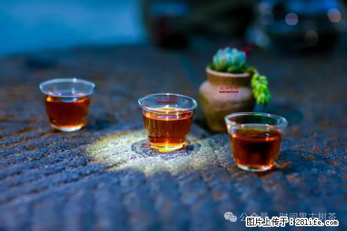 时间果百年古树2025年春红茶 - 购物交流 - 毕节生活社区 - 毕节28生活网 bijie.28life.com