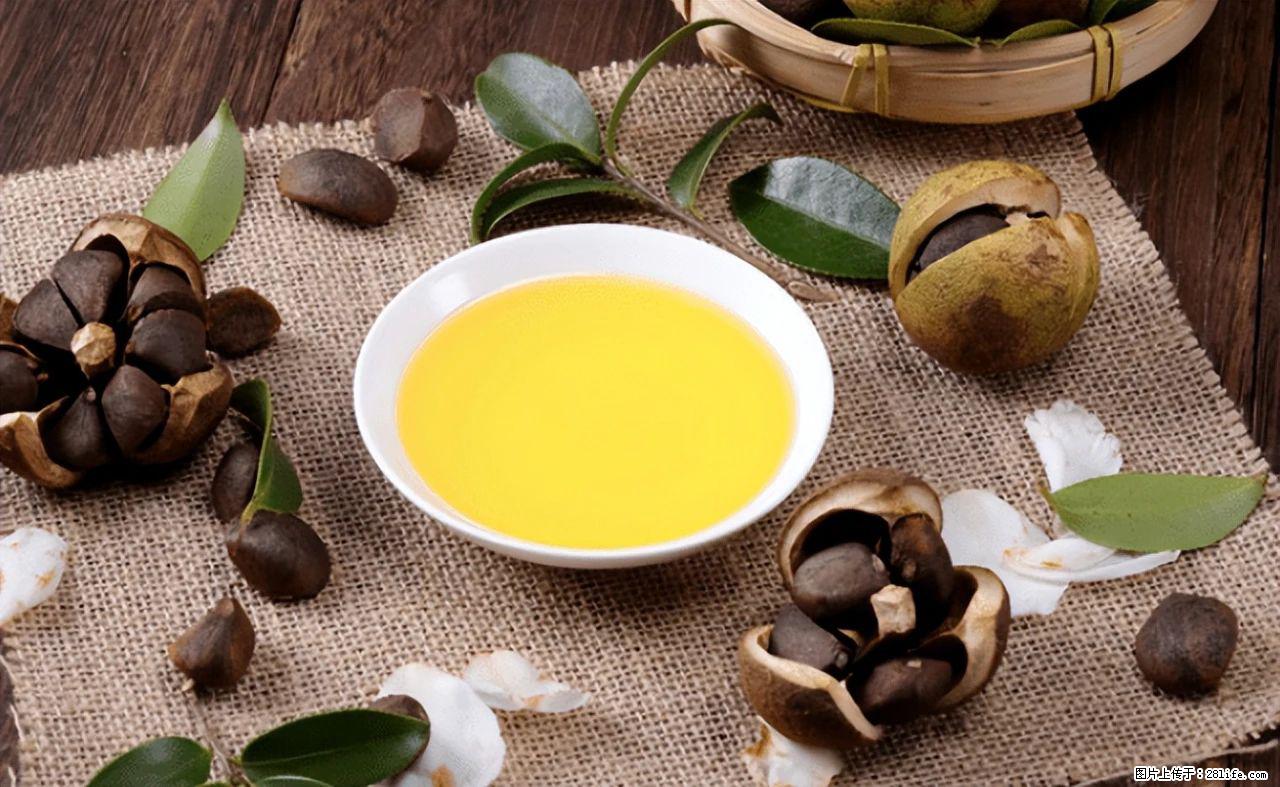 揭秘茶油的5大核心营养成分！被称为人体健康的“守护盾”！ - 毕节生活资讯 - 毕节28生活网 bijie.28life.com