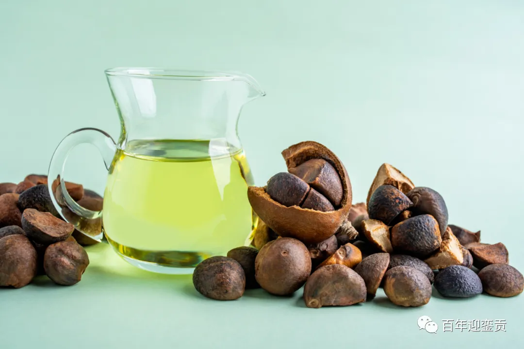 世界没有真相,只有认知,最好的食用油是中国的山茶油! - 毕节生活资讯 - 毕节28生活网 bijie.28life.com