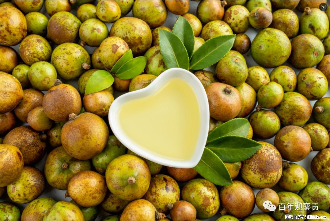 世界没有真相,只有认知,最好的食用油是中国的山茶油! - 毕节生活资讯 - 毕节28生活网 bijie.28life.com