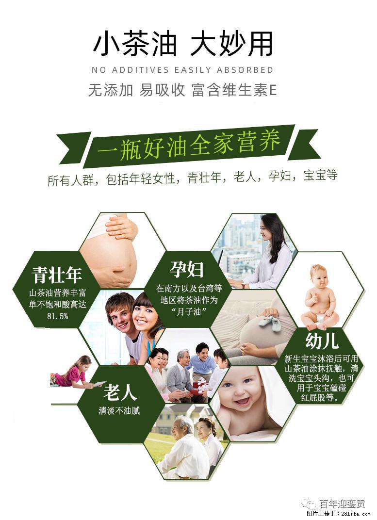 世界没有真相,只有认知,最好的食用油是中国的山茶油! - 毕节生活资讯 - 毕节28生活网 bijie.28life.com