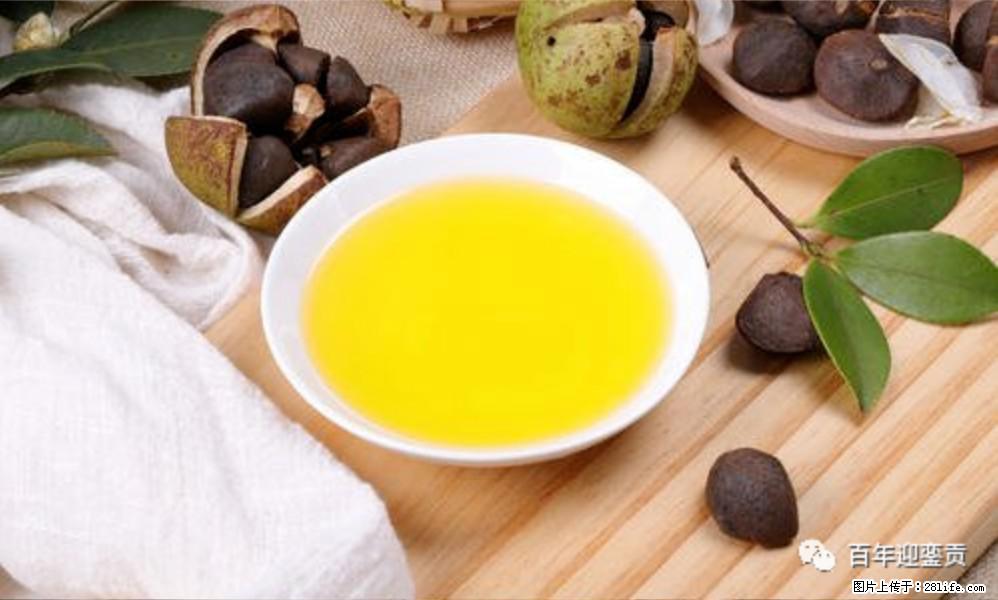 世界没有真相,只有认知,最好的食用油是中国的山茶油! - 毕节生活资讯 - 毕节28生活网 bijie.28life.com