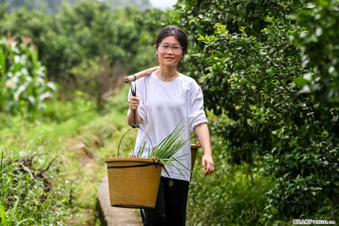 全网追的“扁担女孩”，找了一份暑假工，时薪12元 - 毕节生活资讯 - 毕节28生活网 bijie.28life.com