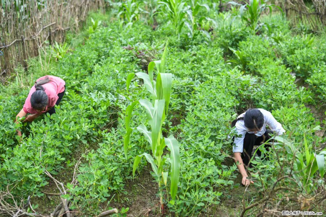 全网追的“扁担女孩”，找了一份暑假工，时薪12元 - 毕节生活资讯 - 毕节28生活网 bijie.28life.com
