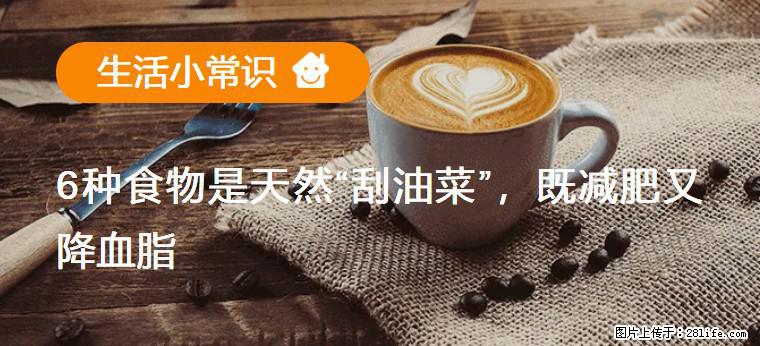 【生活小常识】6种食物是天然“刮油菜”,既减肥又降血脂 - 毕节生活资讯 - 毕节28生活网 bijie.28life.com