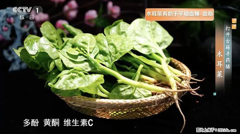 比牛奶补钙还厉害!凉血解毒、稳血糖...这菜冬天必吃,很多人却当草 - 毕节生活资讯 - 毕节28生活网 bijie.28life.com