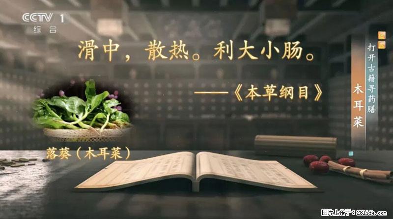 比牛奶补钙还厉害!凉血解毒、稳血糖...这菜冬天必吃,很多人却当草 - 毕节生活资讯 - 毕节28生活网 bijie.28life.com