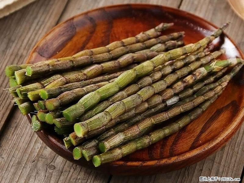 铁皮石斛的作用与功能主治 - 毕节生活资讯 - 毕节28生活网 bijie.28life.com