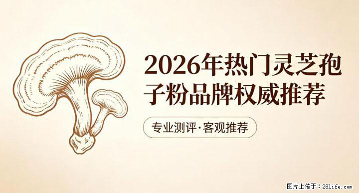 灵芝孢子粉含量越高越有效？2026 年七款热门品牌深度实测，肠胃敏感者避坑指南 - 毕节生活资讯 - 毕节28生活网 bijie.28life.com